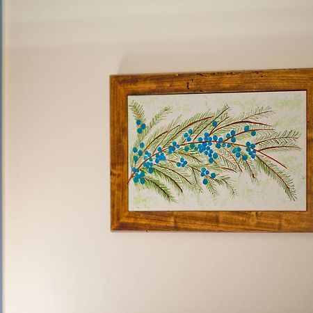 La Viuzza Bed & Breakfast Sorrento Ngoại thất bức ảnh